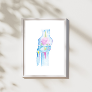 Knee Anatomy, Physical Therapy Art, Orthopedic Surgery Art