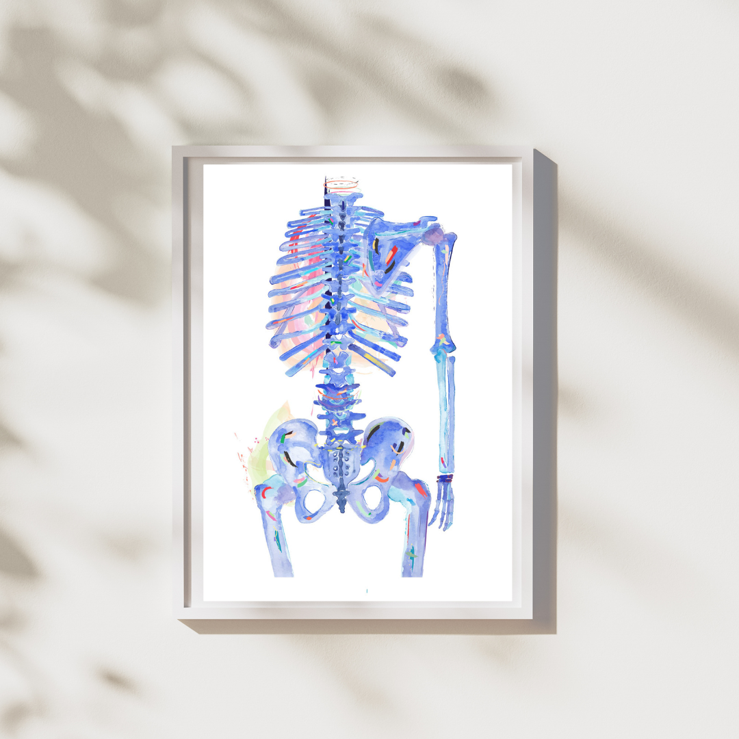 skeleton anatomy art print for nursing student