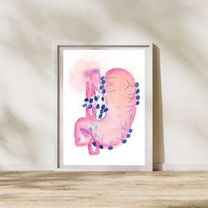 Stomach Lymph Nodes Watercolor Art Print