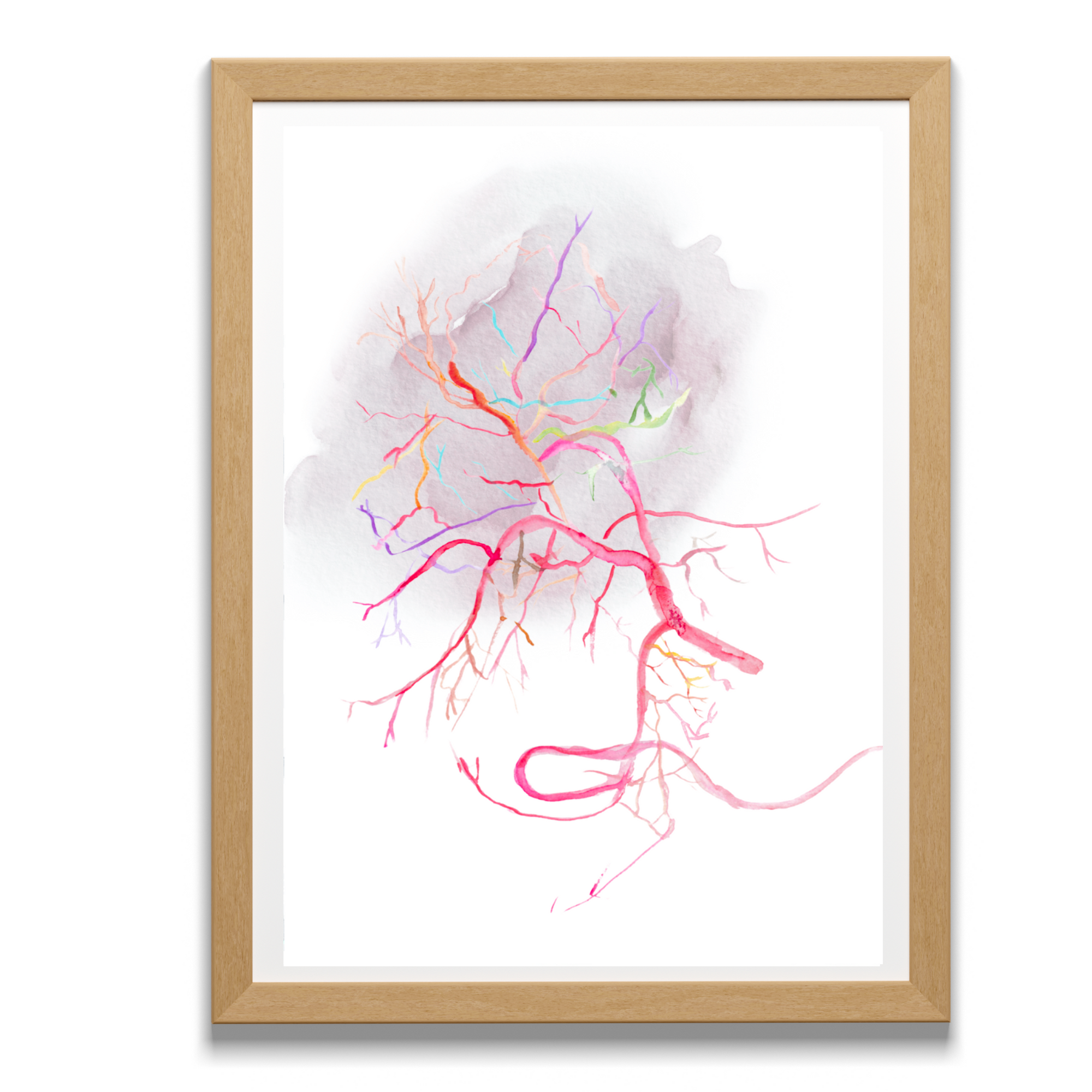 Hepatic Artery Anatomy Angiogram