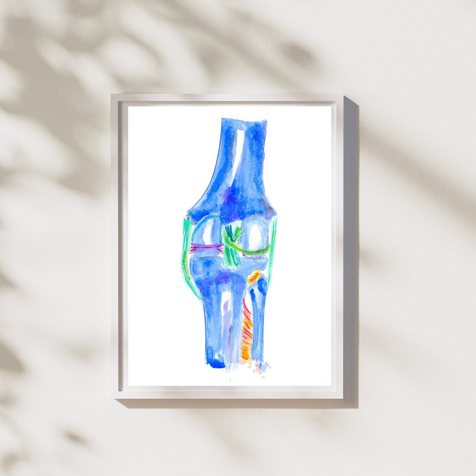 knee anatomy watercolor painting