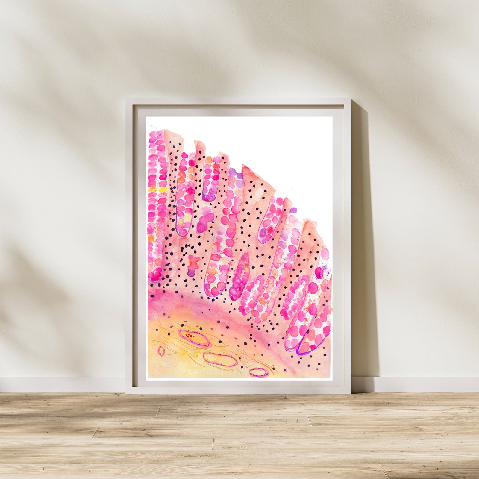colon histology watercolor art print
