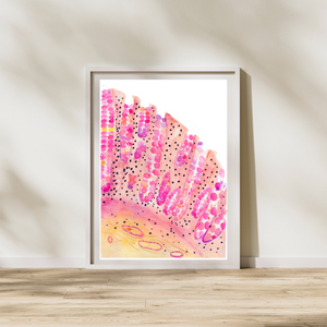 colon histology watercolor art print
