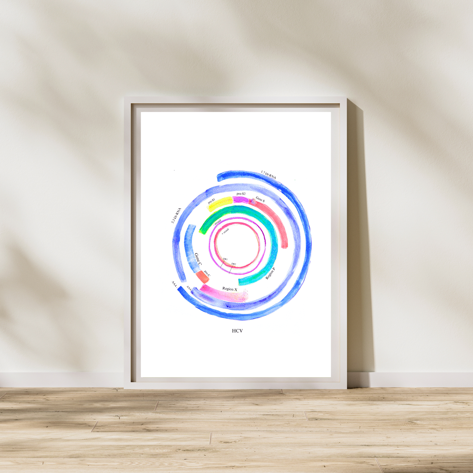 hepatitis c virus genome art print