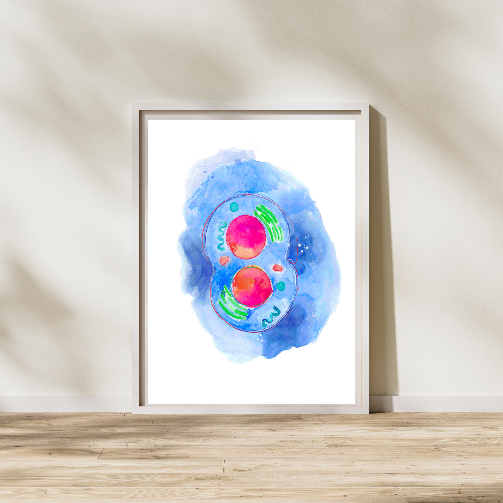 cell division watercolor painting
