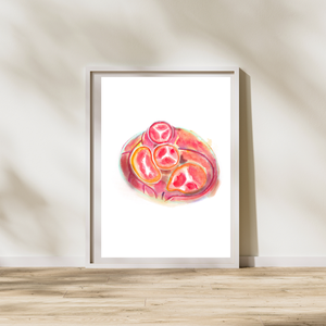 Heart Valve Anatomy Art Print