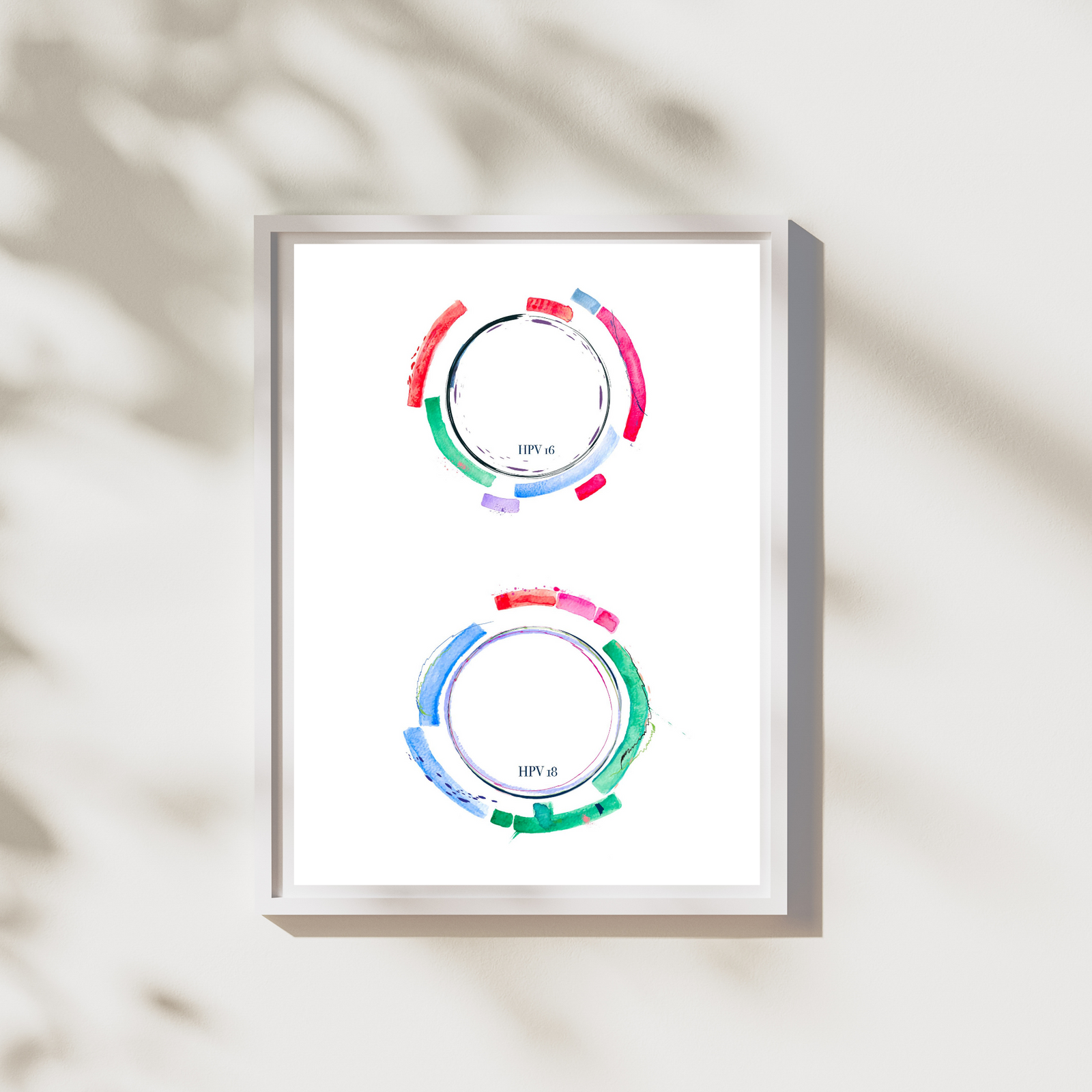 hpv 16 18 genome watercolor