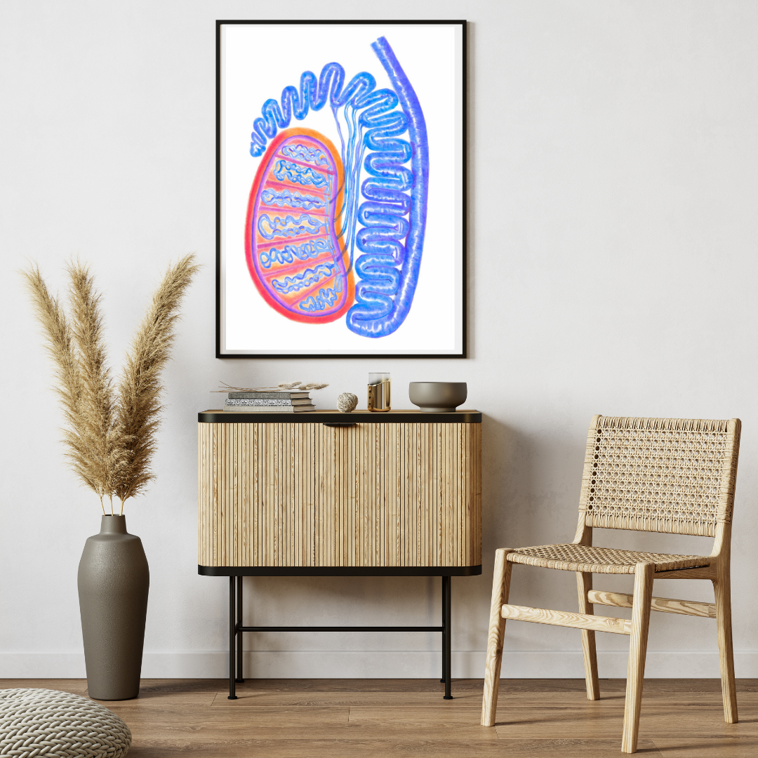 testis colored pencil art 