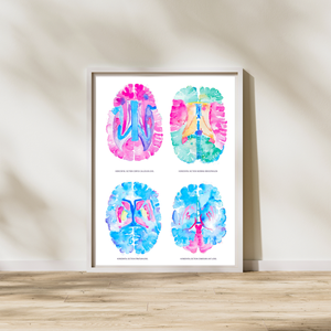 Brain Anatomy Artwork, Neurology Office Decor, Neuroscientist Gift