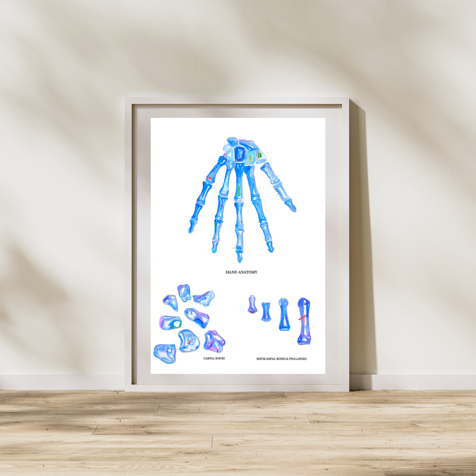 Hand Anatomy Art Print