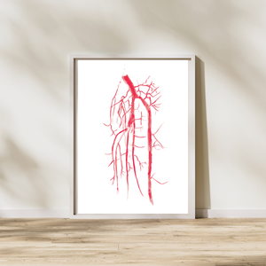 vascular surgeon gift