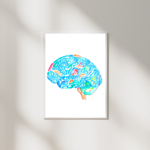 Brain Anatomy Art Print