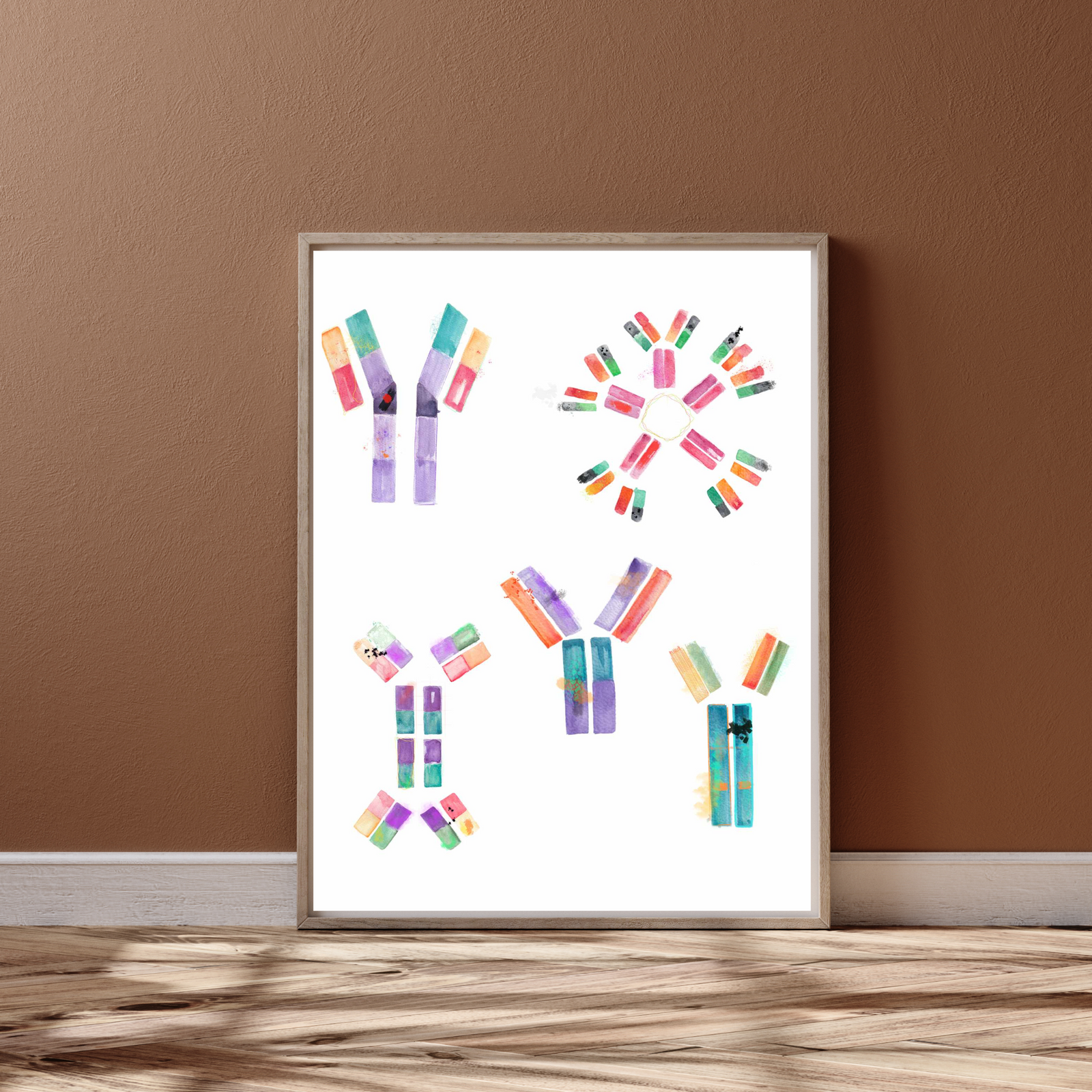 Human Immunoglobuline Art