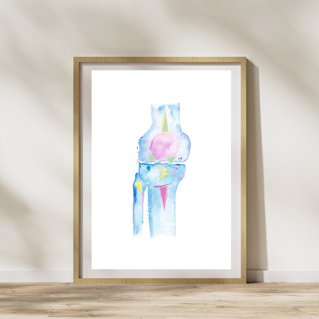 Knee Anatomy, Physical Therapy Art, Orthopedic Surgery Art