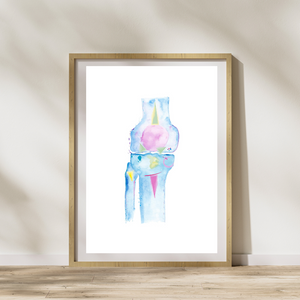 Knee Anatomy, Physical Therapy Art, Orthopedic Surgery Art