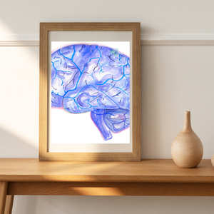 Brain Anatomy and Arteries Anatomy Art Print (Copy)