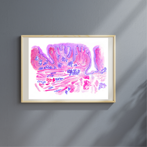 Tongue Histology Art Print