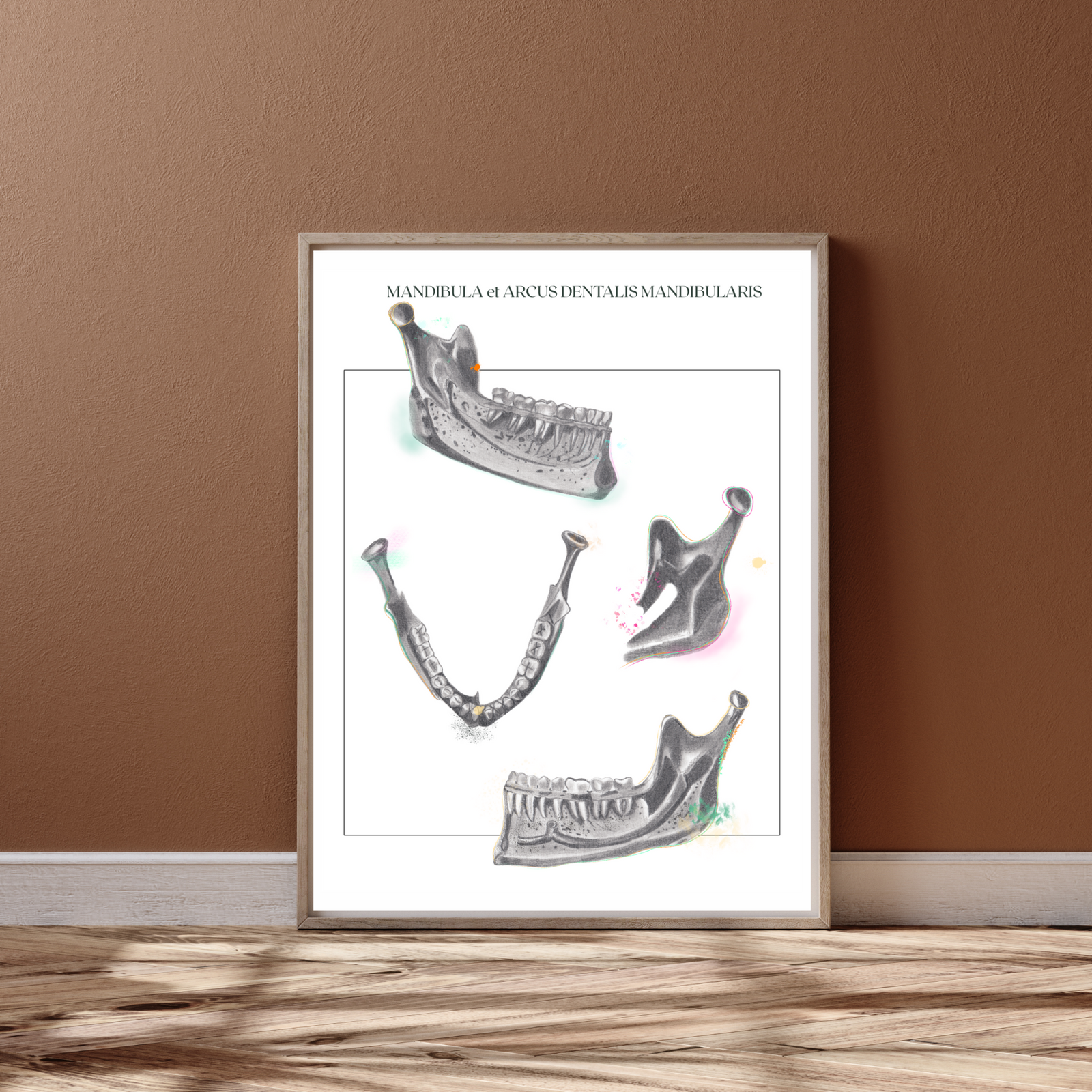 Mandible Human Anatomy Art