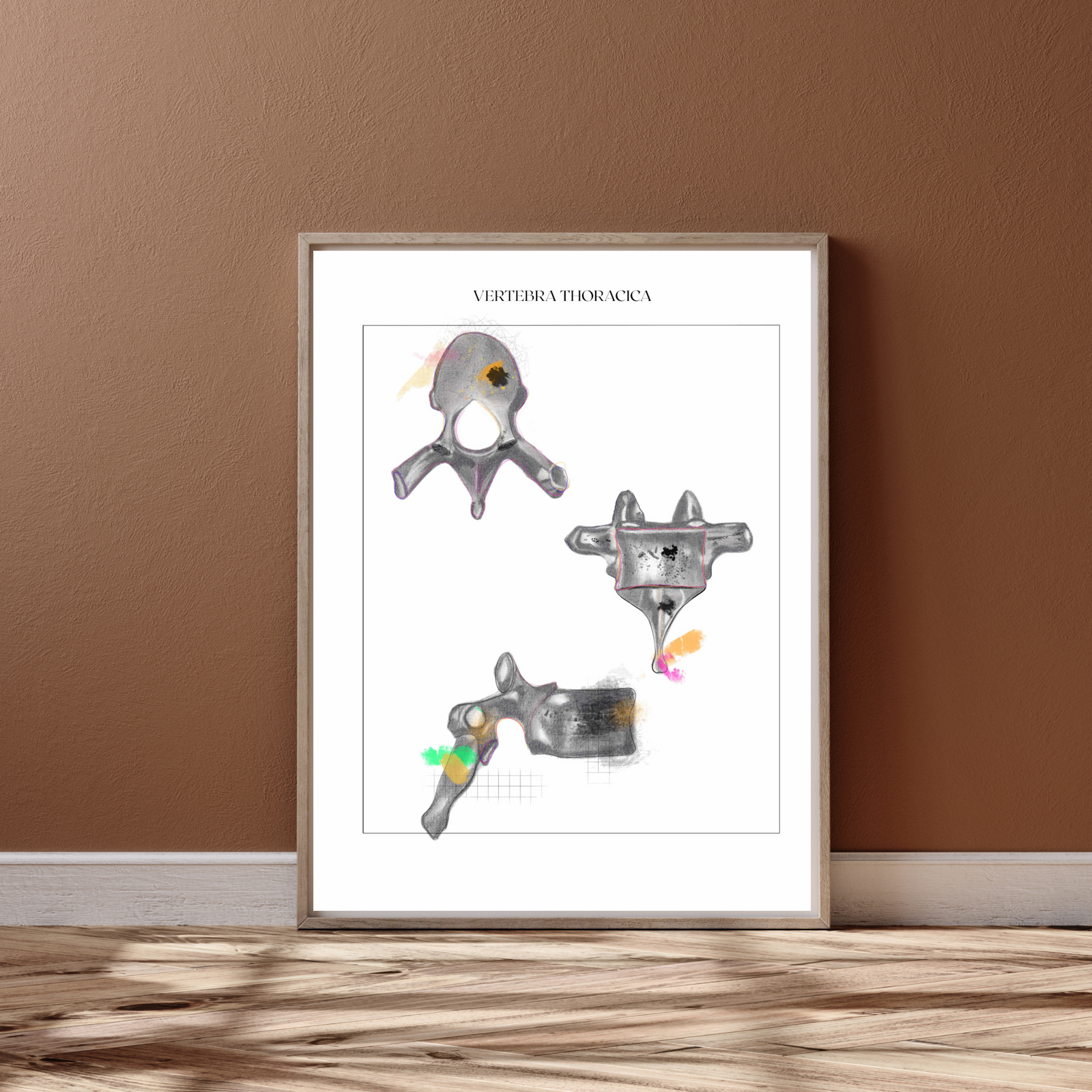 Thoracic Vertebra Anatomy Art