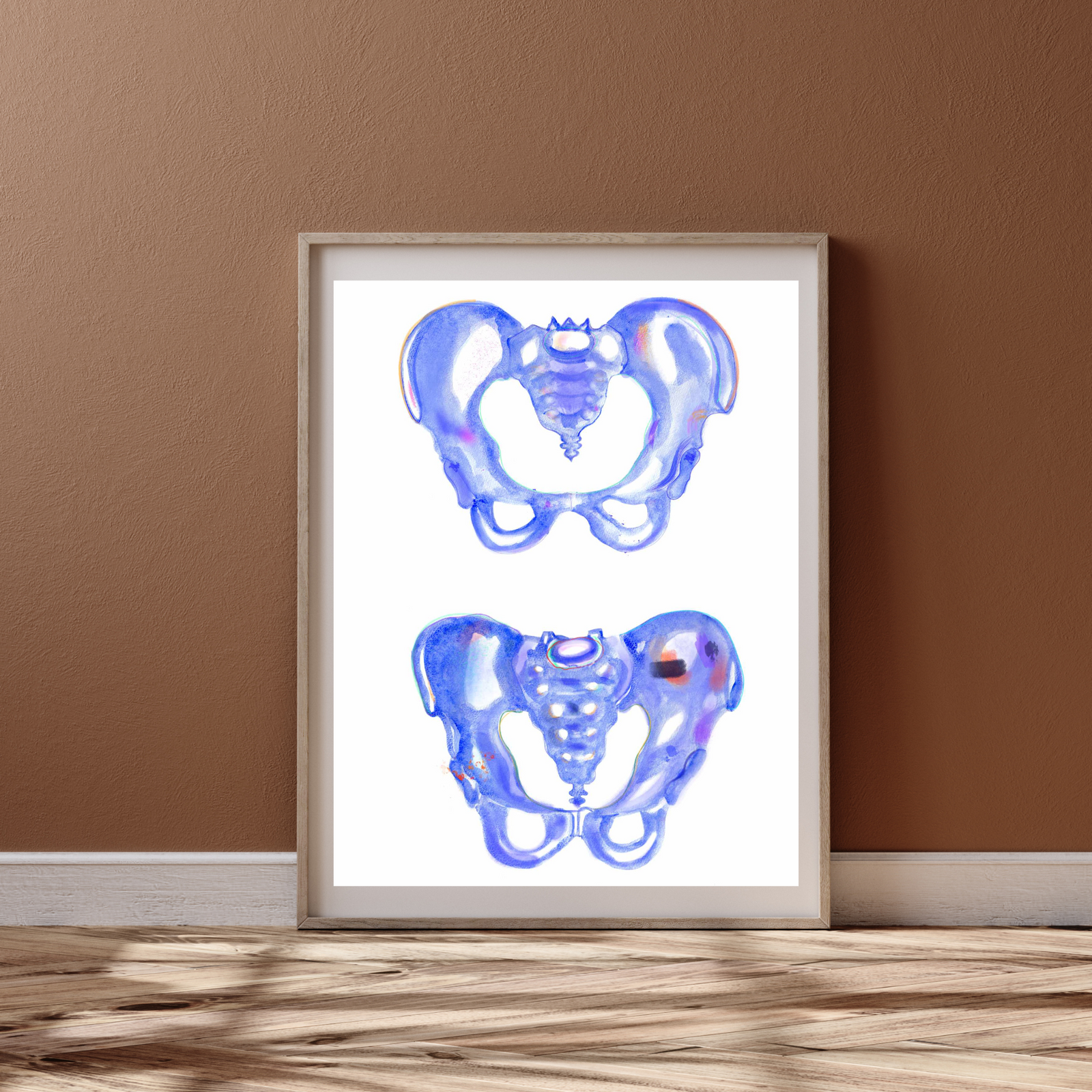 Female and Male Pelvis Anatomy Art Print