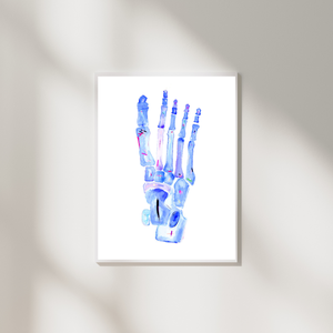 Foot Anatomy Art