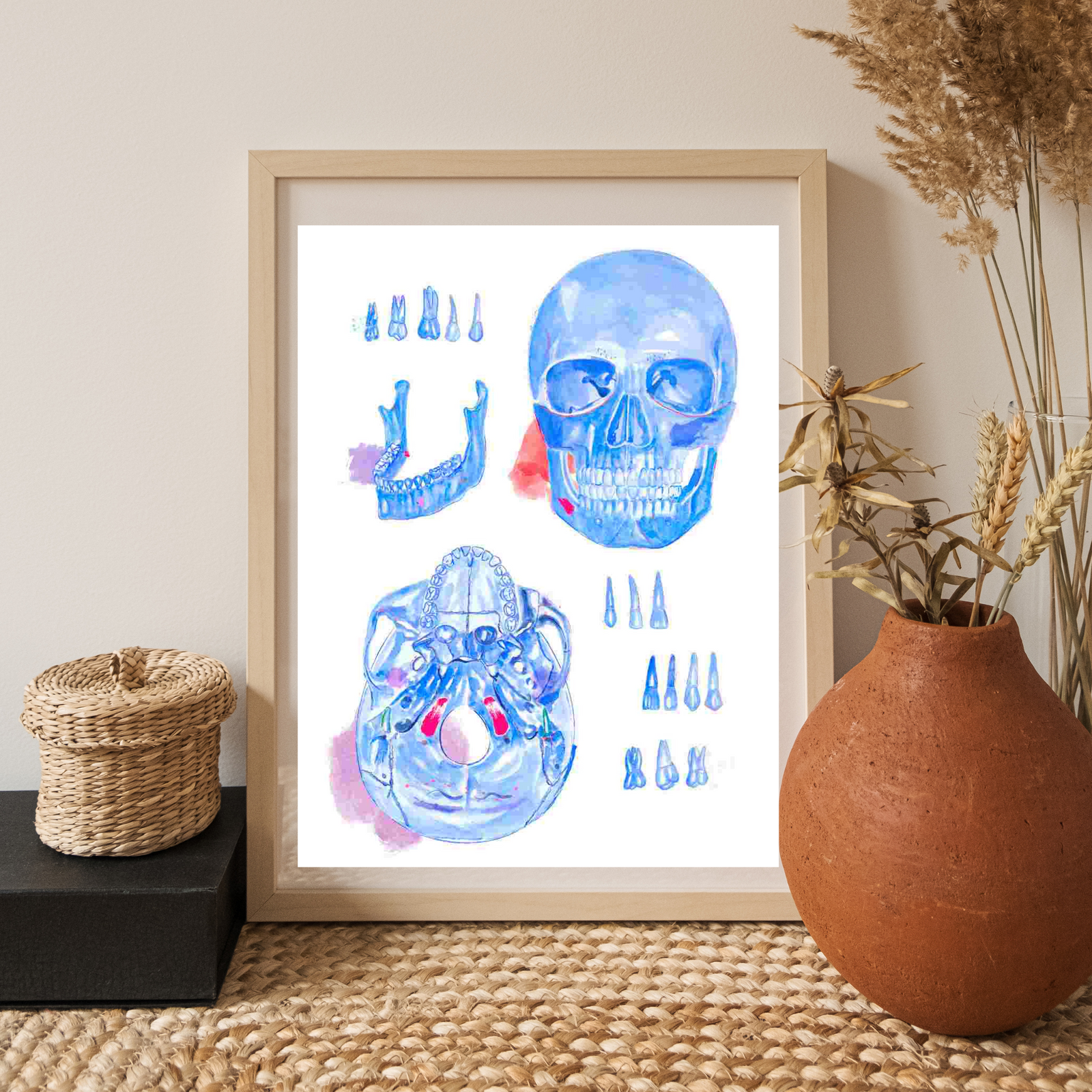 Skull Anatomy Art
