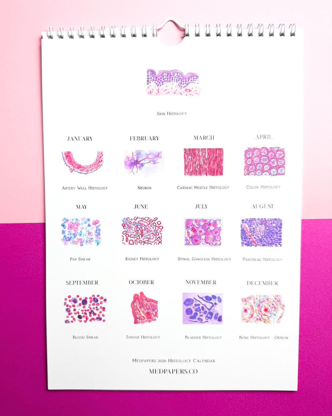 Histology Calendar 2026