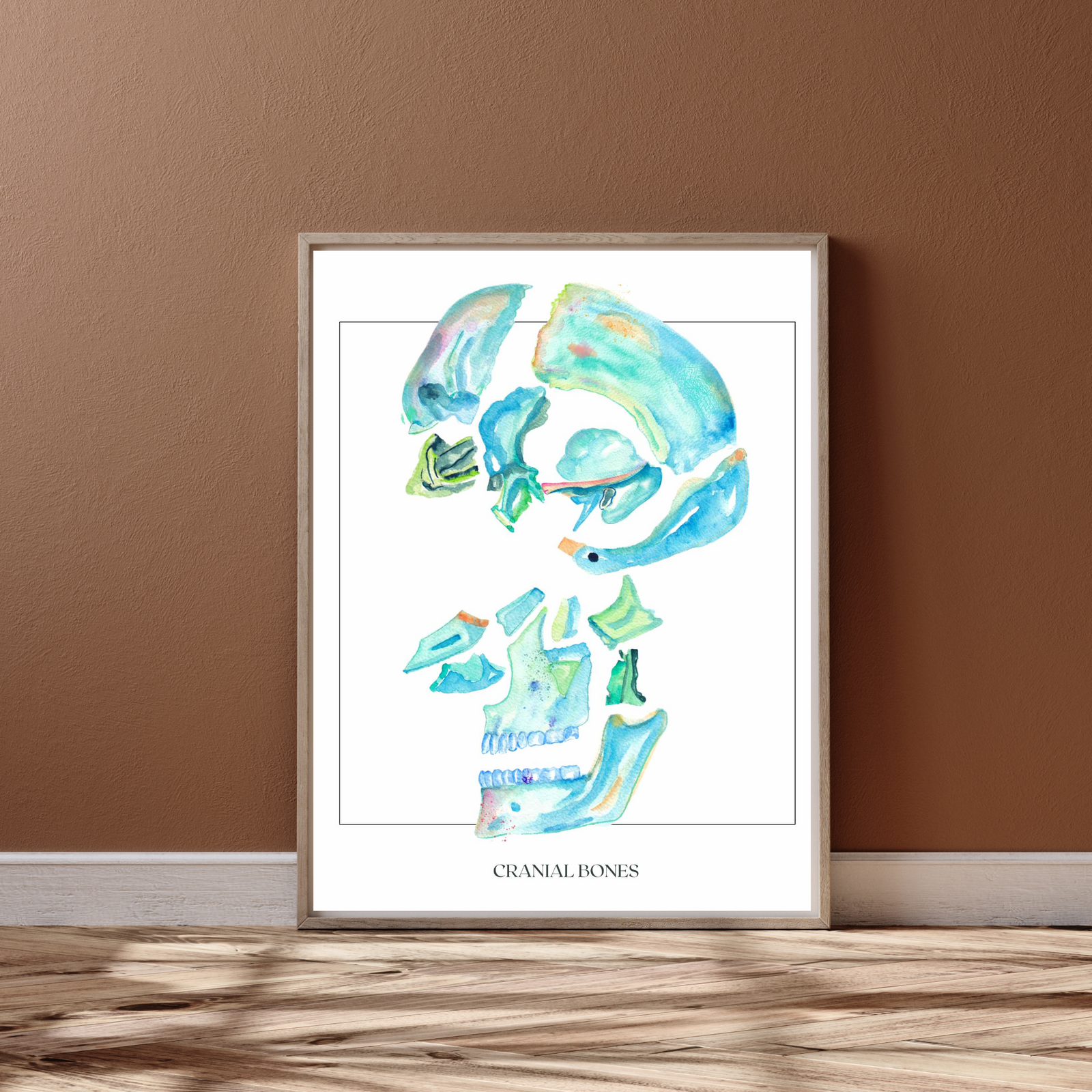 Cranial Bones Art Print