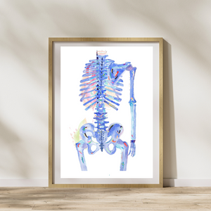 chiropractic skeleton office decor