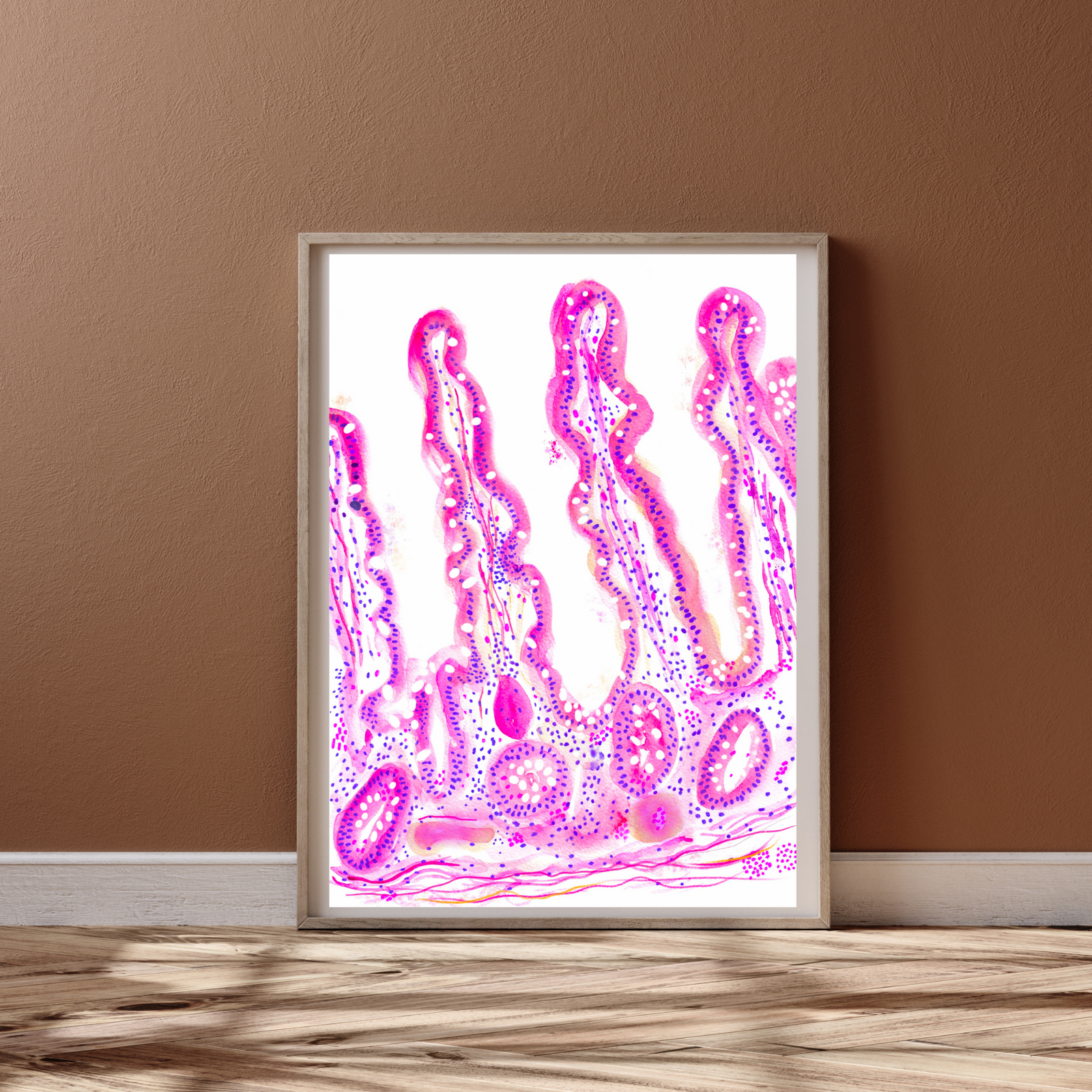 Jejunum Histology Art