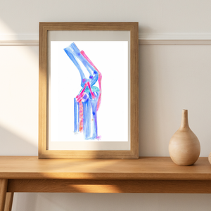 Knee Anatomy Art Print