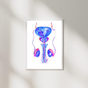 Urology Artwork