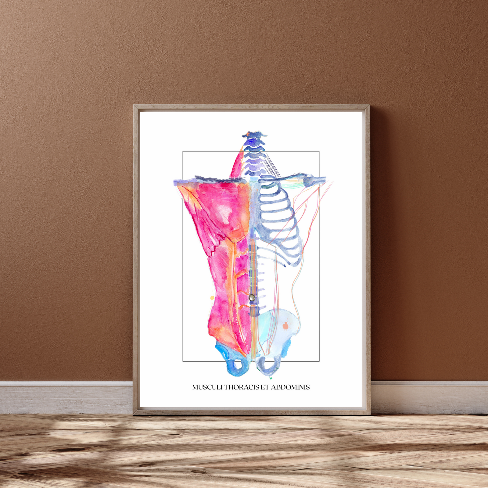 Torso Anatomy Art Print