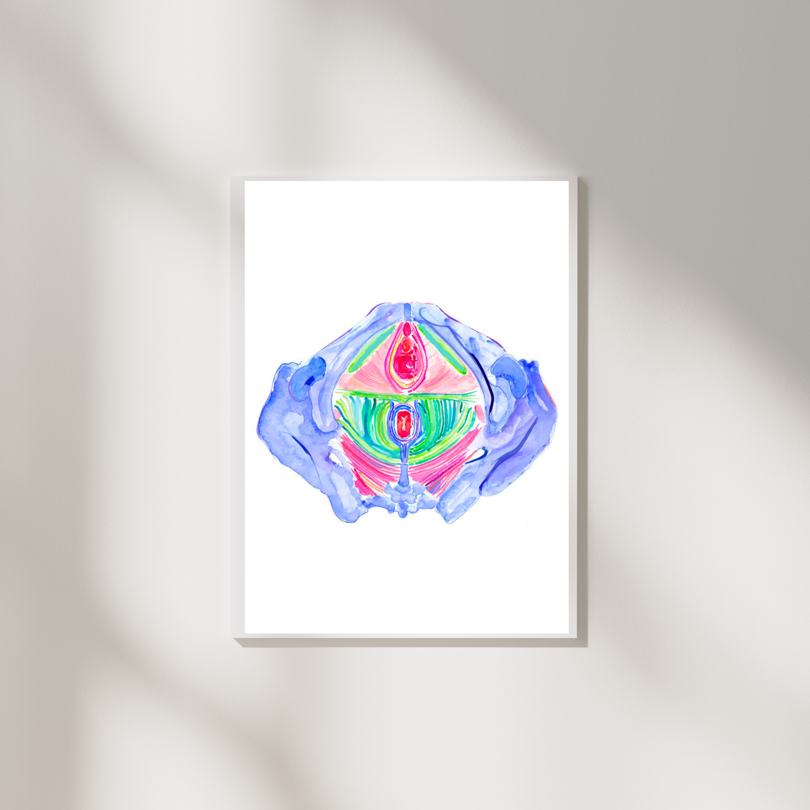 Pelvic Floor Anatomy Art Print