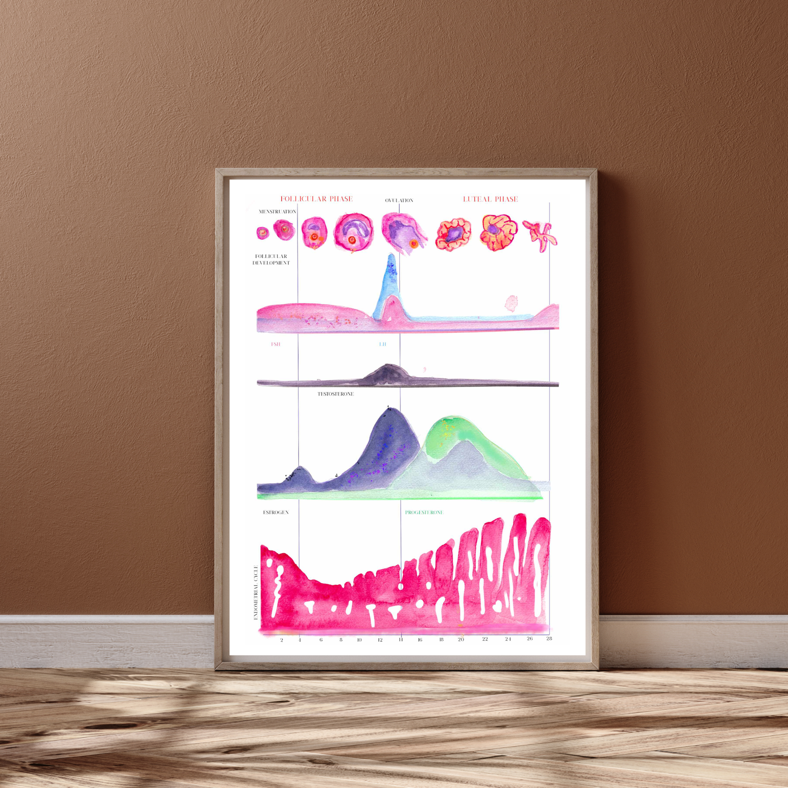Menstrual Cycle Watercolor Art Print