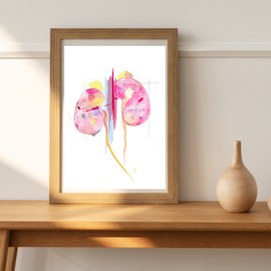 Kidney Art, Abstract Anatomy Art, Nephrology Office Art