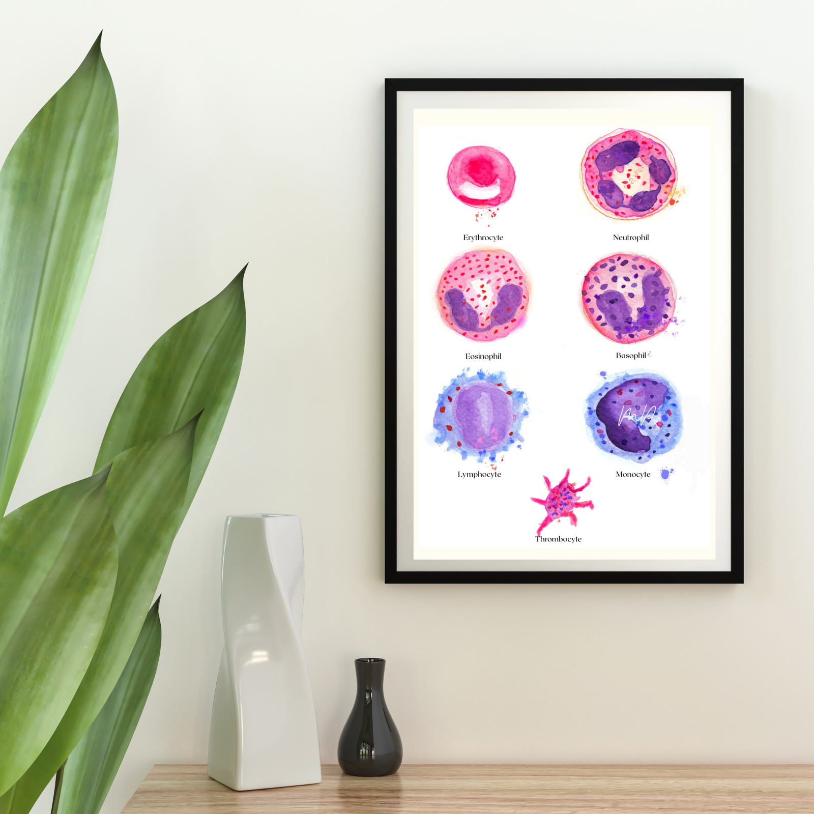 blood cell watercolor painting
