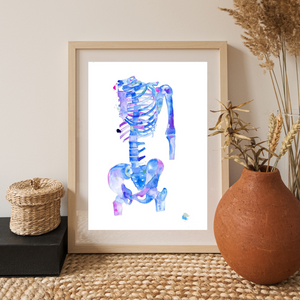 Skeleton Human Anatomy Art Print