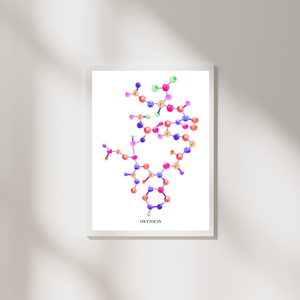 Oxytocin Molecule Art Print, Biochemistry Print, Endocrinology Art, OBGyN Art Print