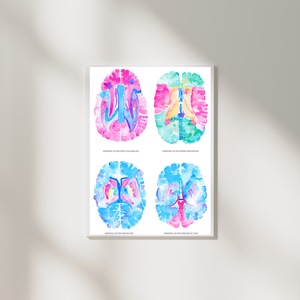 Brain Anatomy Artwork, Neurology Office Decor, Neuroscientist Gift