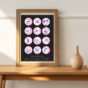 Blood Cells Art Print