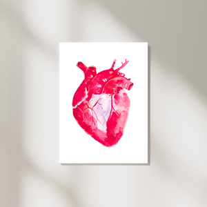 Heart Anatomy Watercolor Illustration