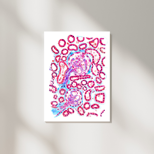 Renal Histology Art Print