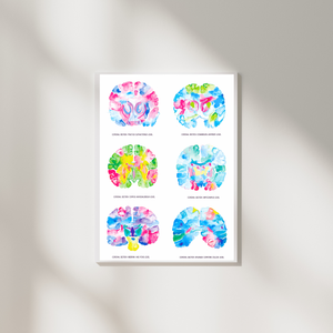 Brain Neuroanatomy Art, Neurologist Gift, Medical Office Decor