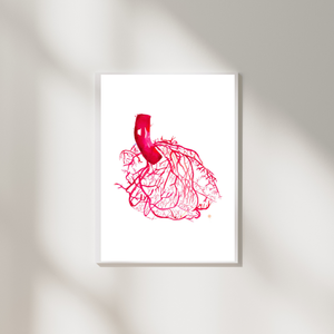 Heart Anatomy Vascularization Art Print