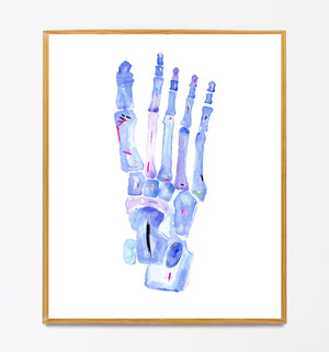 Foot Anatomy Art, Foot Bone Art, Orthopedic Surgery Art, Physical Therapy Art