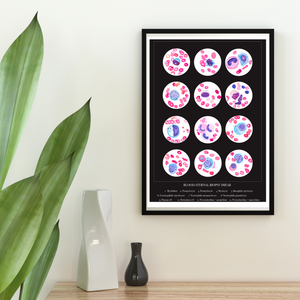 Blood Cells Art Print