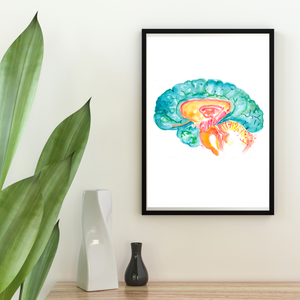 Hippocampus Brain Anatomy Art Print