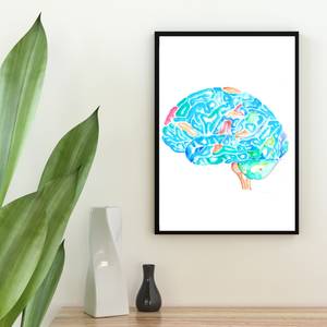 Brain Anatomy Art Print