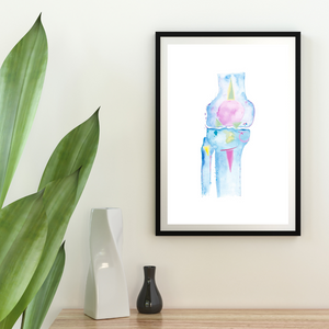 Knee Anatomy, Physical Therapy Art, Orthopedic Surgery Art